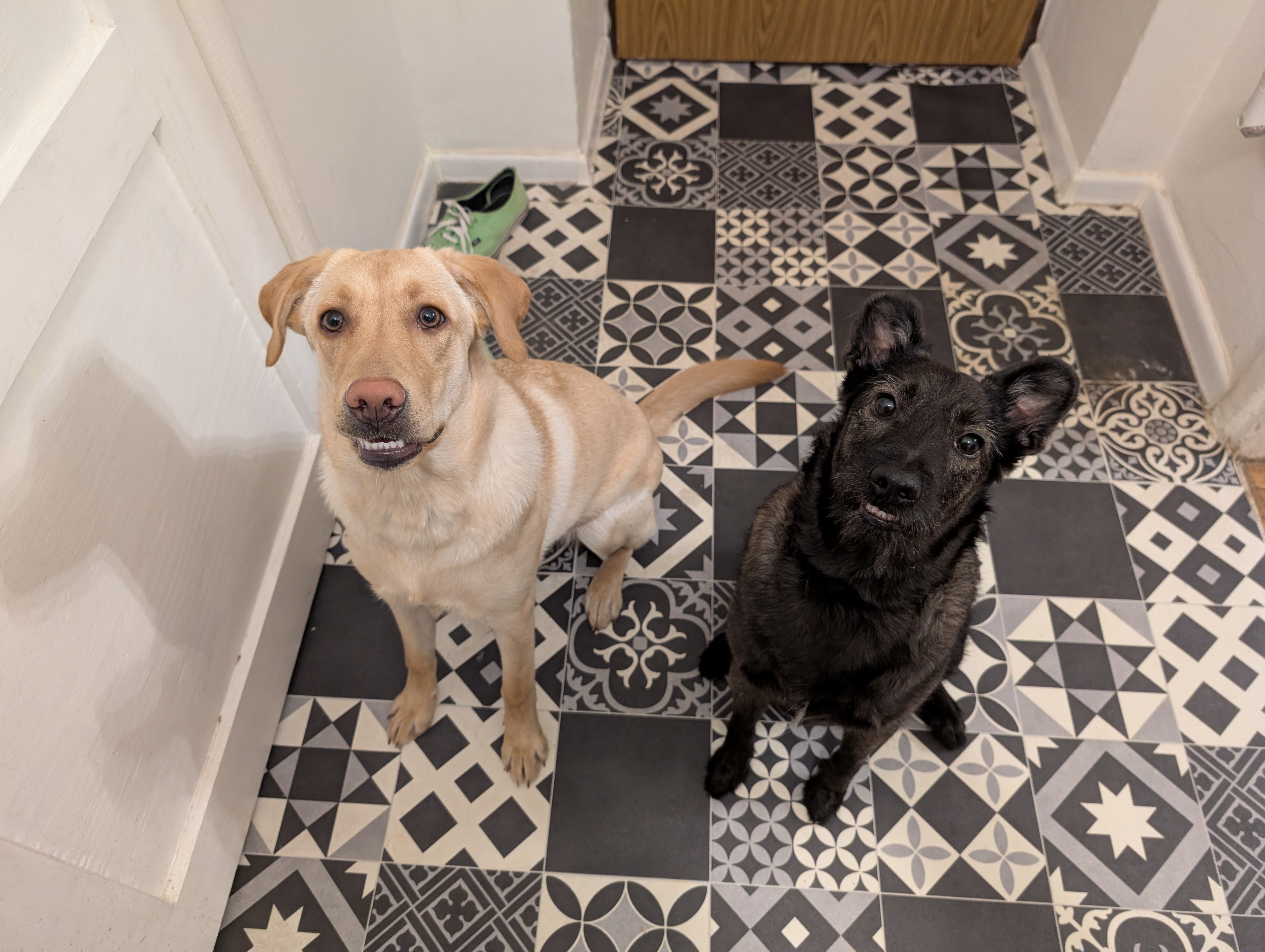 Blade i Nala